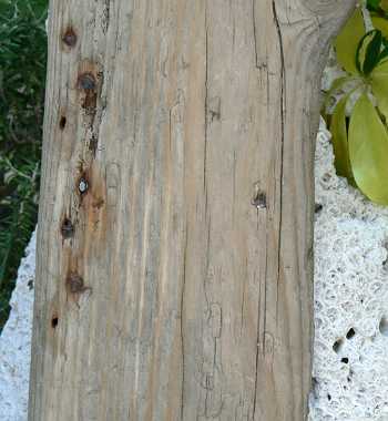 画像: 板・角棒の流木　「船板」