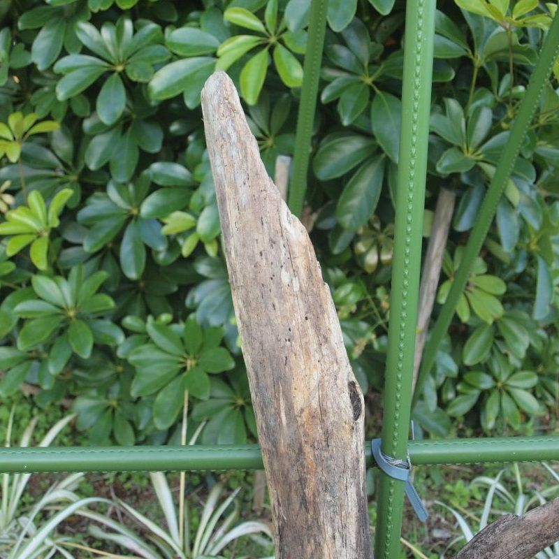 画像: 根っこ・幹の流木(小)「兎」