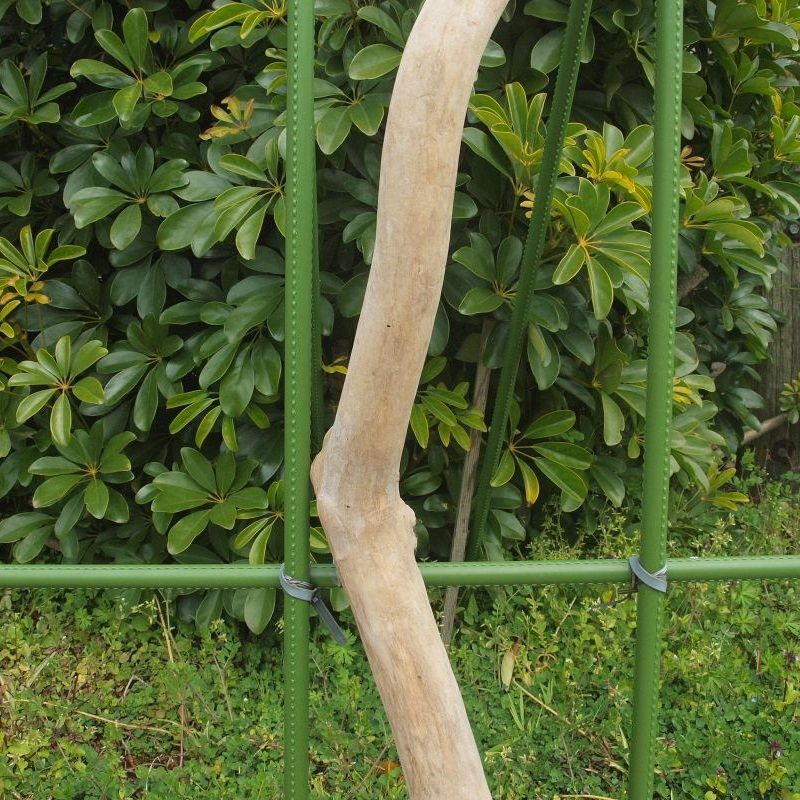 画像: 枝・棒の流木(大)「海蛇」