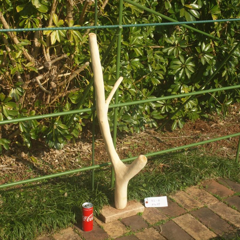 画像1: 根っこ・幹の流木（大)「イカリソウ」