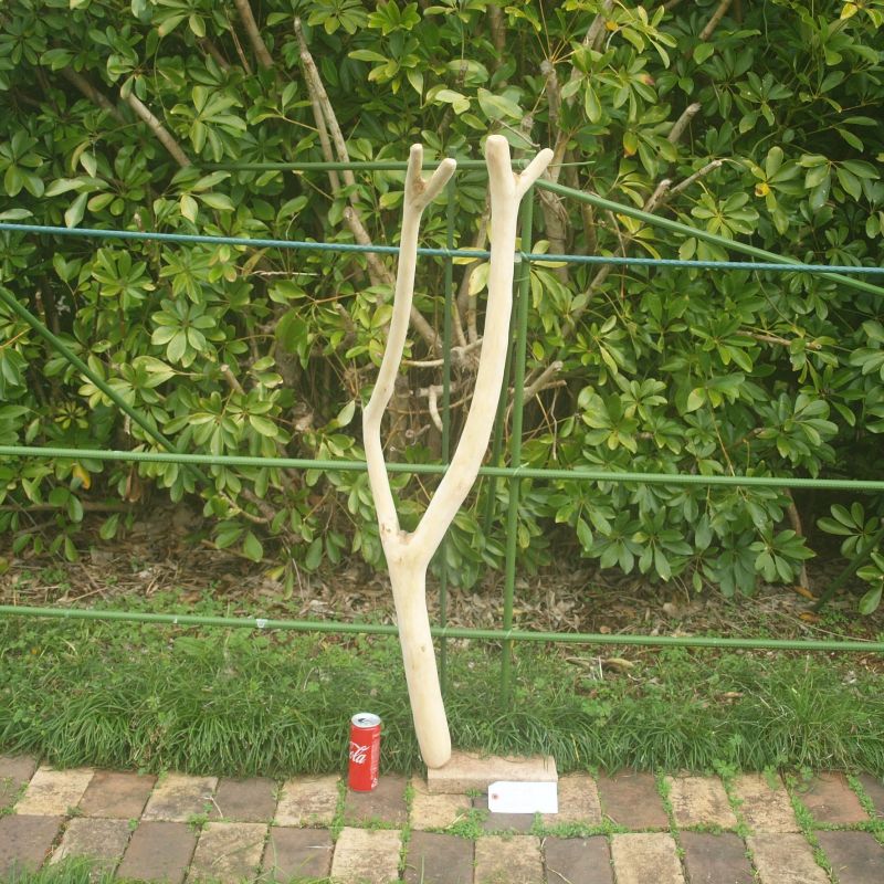 画像1: 枝・棒の流木(中)「ボタン」