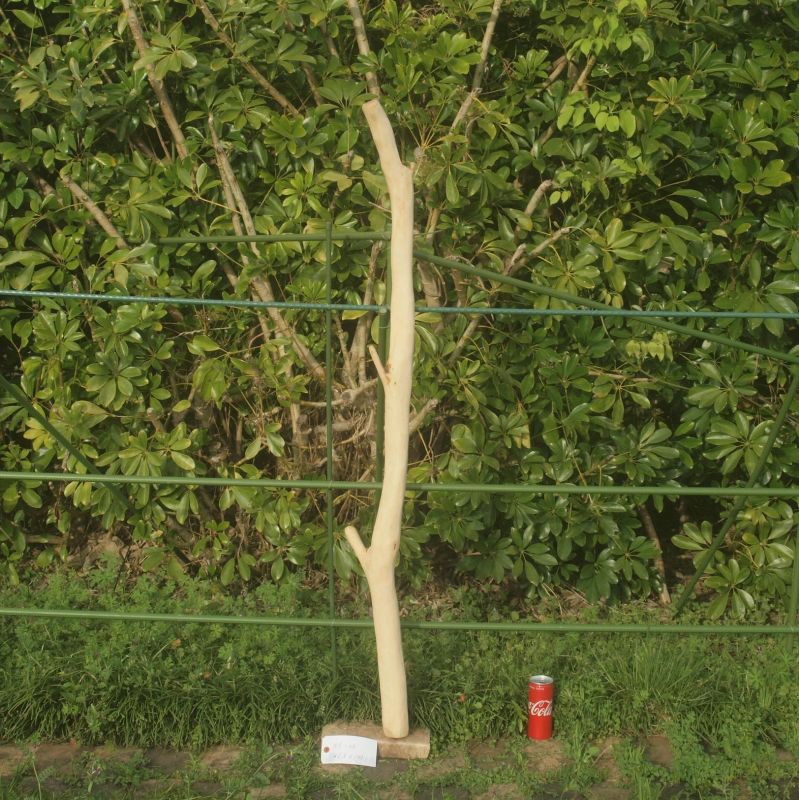 画像1: 枝・棒の流木(大)「ポピー」