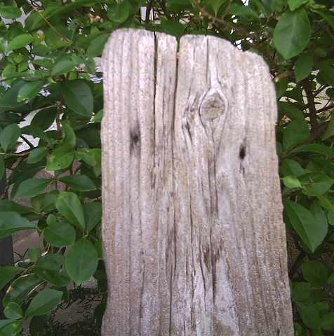 画像: 板・角棒の流木　「長閑」