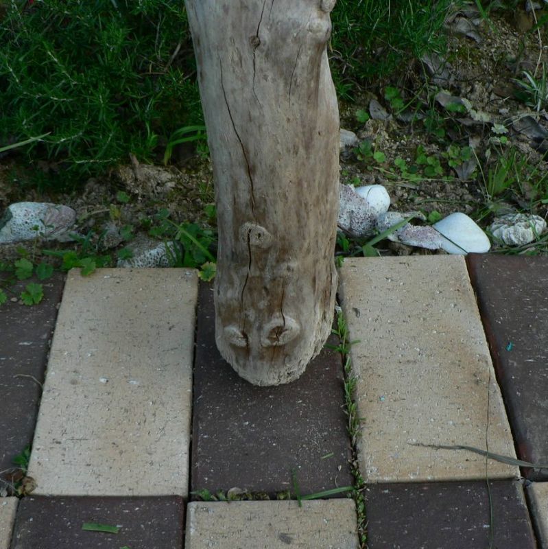 画像: 根っこ・幹の流木(小)「鳶」