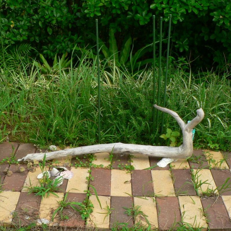 画像: 根っこ・幹の流木(中)「終玄」