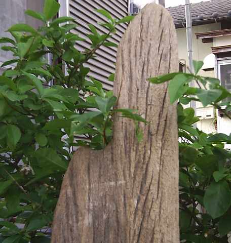 画像: 板・角棒の流木　「年月」